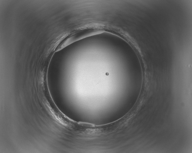 X0000078010057200611031441