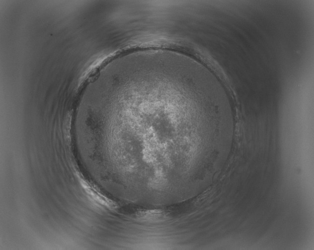 X0000078010058200611031441