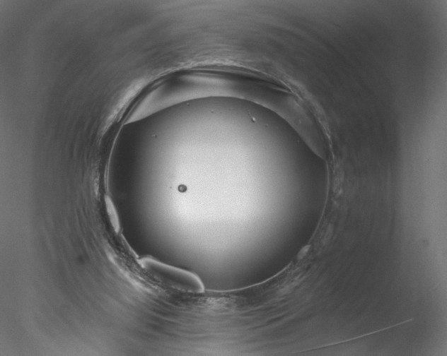 X0000078010060200611031441