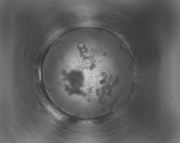 X0000078010061200611031441