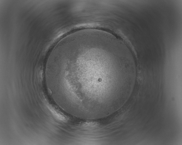 X0000078010063200611031441