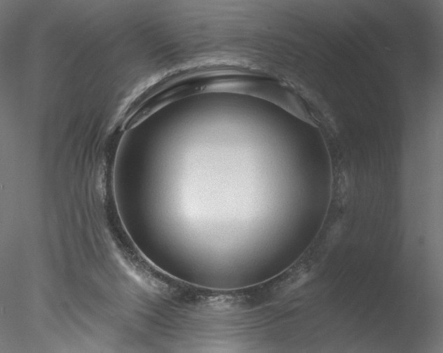 X0000078010064200611031441