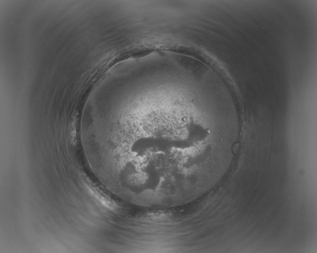 X0000078010065200611031441