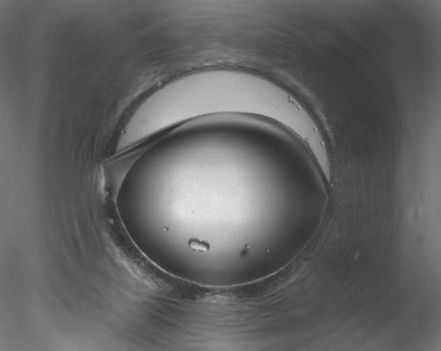 X0000078010067200611031441