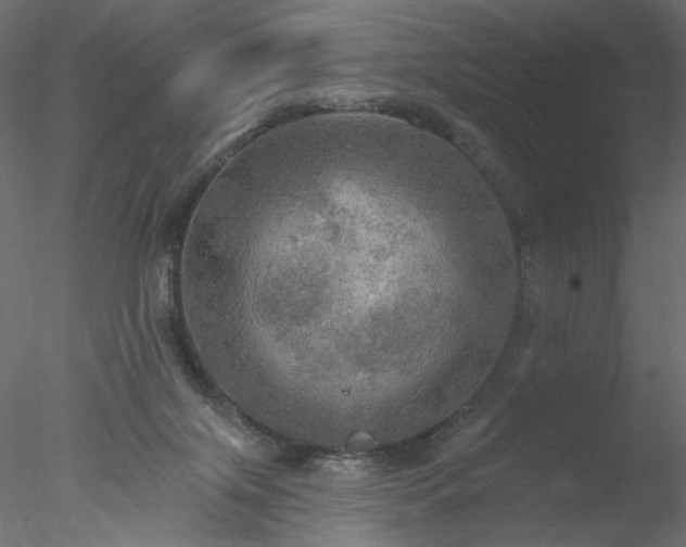 X0000078010071200611031441