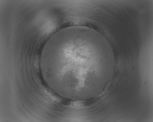 X0000078010078200611031441