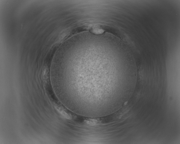 X0000078010079200611031441