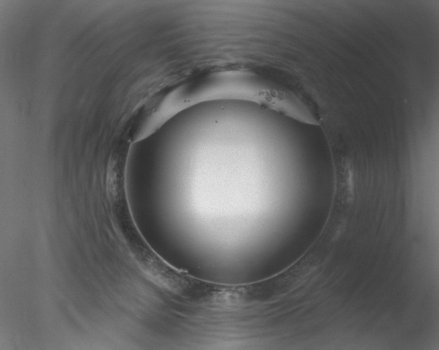 X0000078010080200611031441