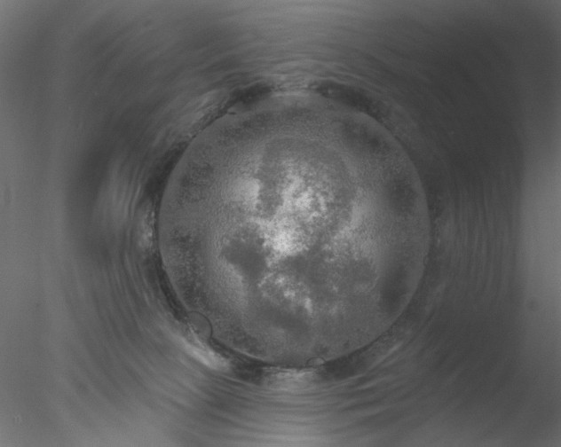 X0000078010081200611031441