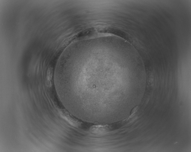 X0000078010082200611031441