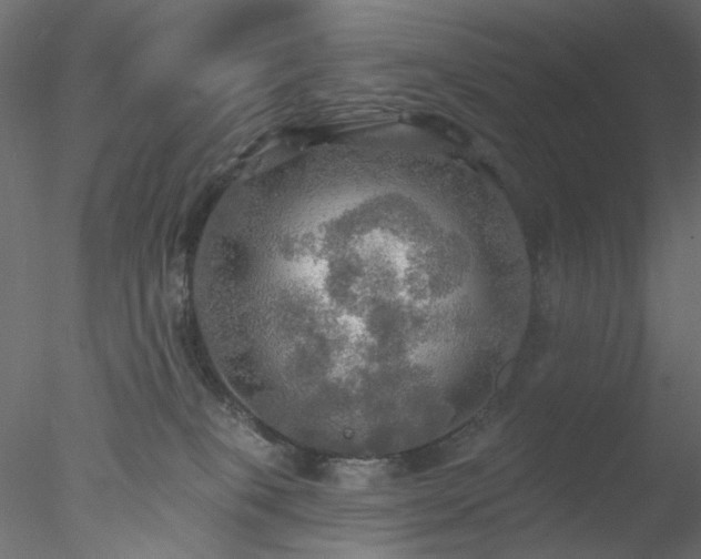 X0000078010085200611031441