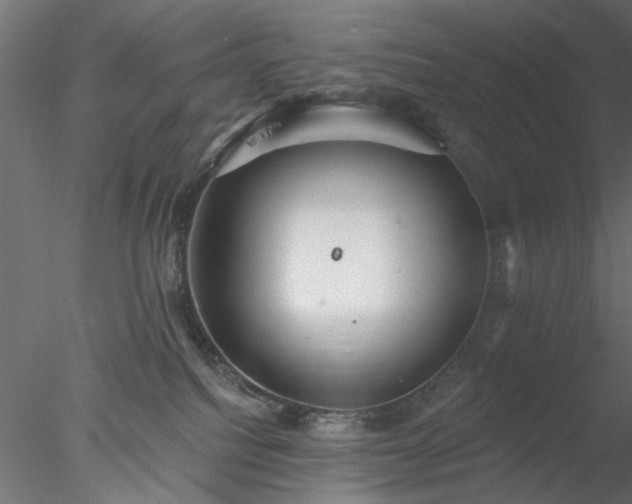 X0000078010088200611031441