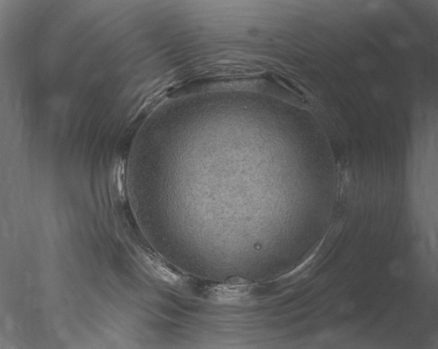 X0000078010094200611031441