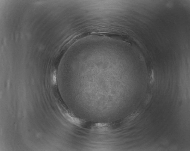 X0000078010095200611031441