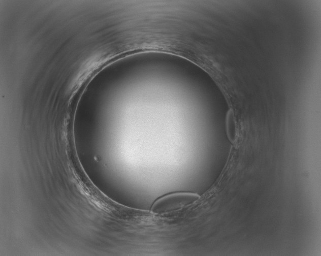 X0000078010098200611031440