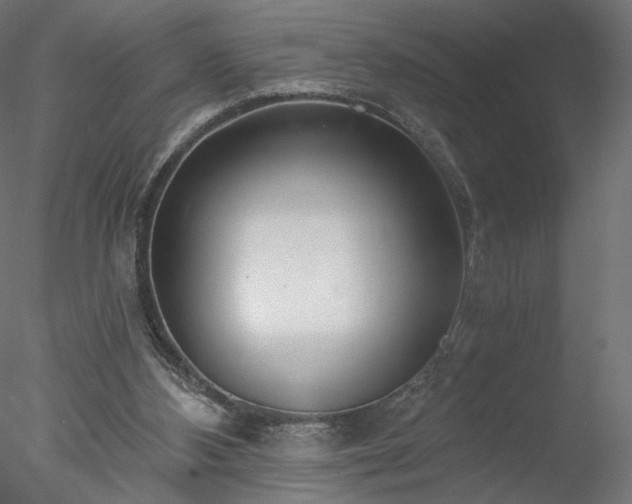 X0000078010108200611031440