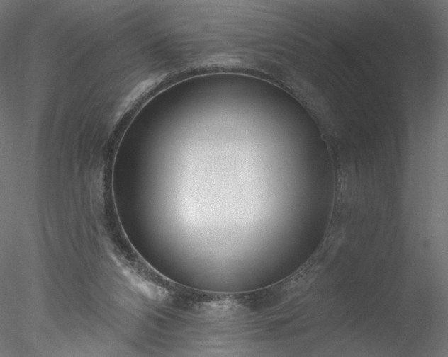 X0000078010112200611031440