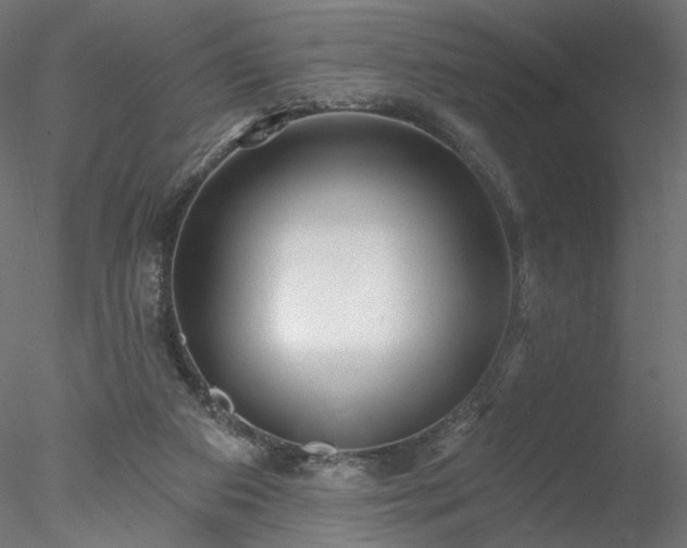 X0000078010113200611031440