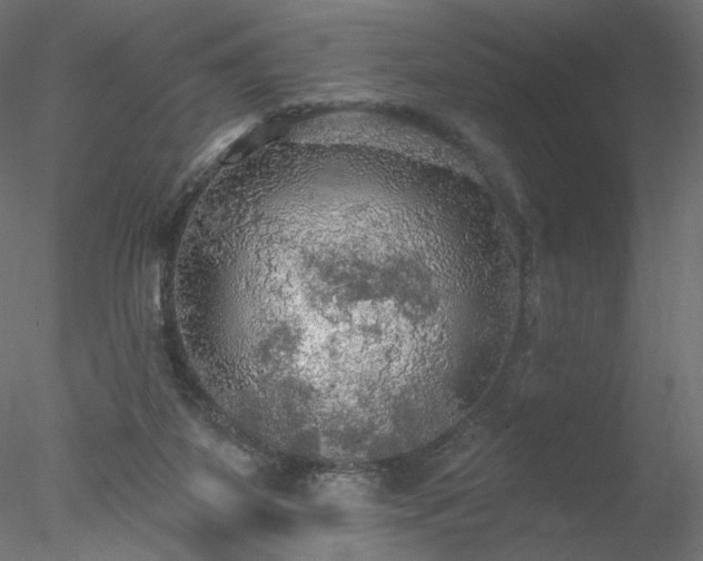 X0000078010115200611031440