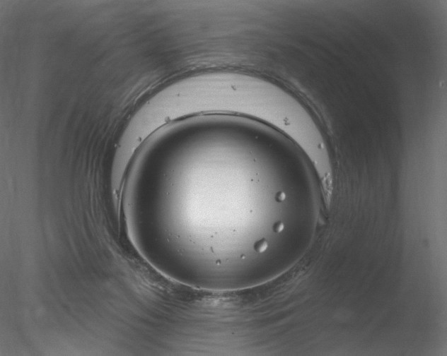 X0000078010117200611031440