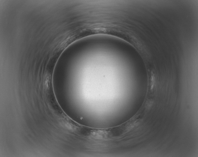 X0000078010125200611031440