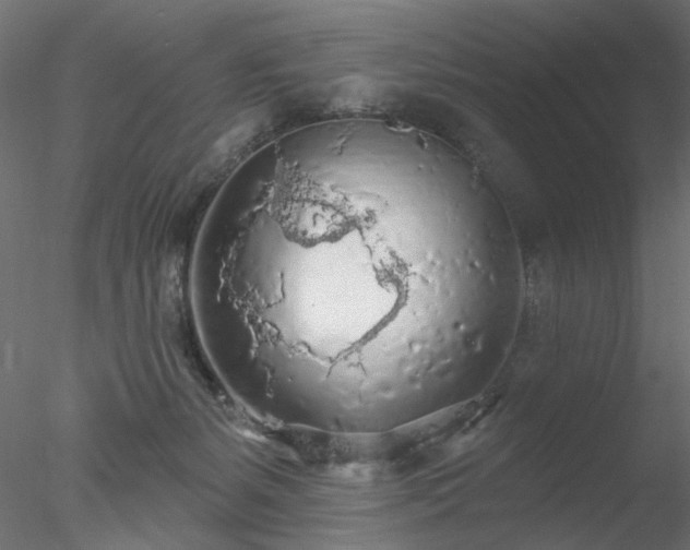 X0000078010127200611031440