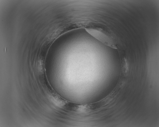 X0000078010130200611031440