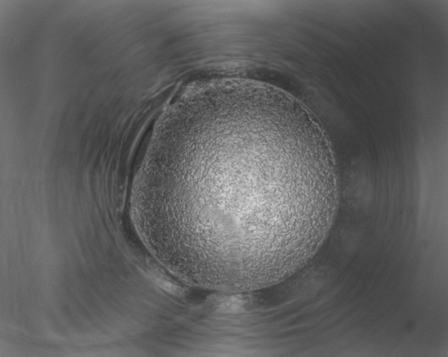 X0000078010131200611031440