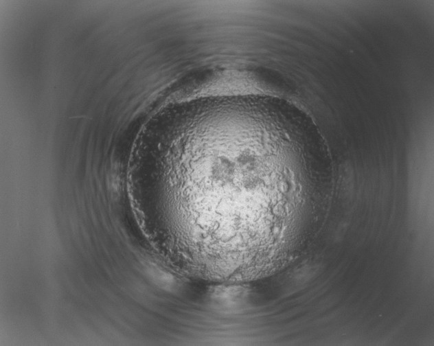 X0000078010135200611031440