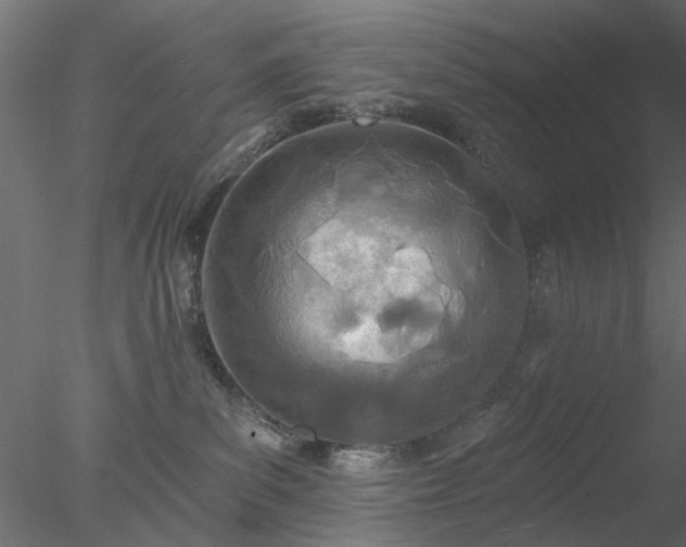 X0000078010139200611031440