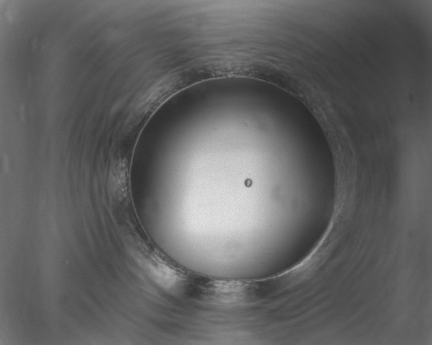 X0000078010144200611031440