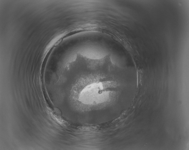 X0000078010147200611031439