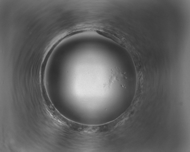 X0000078010148200611031439