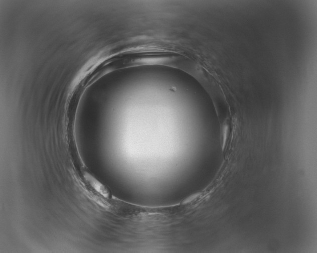 X0000078010150200611031439