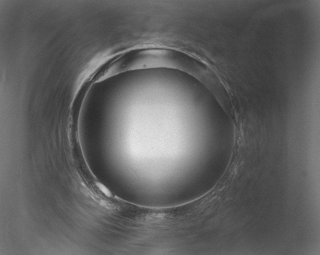 X0000078010152200611031439