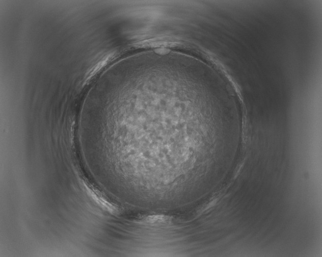 X0000078010153200611031439