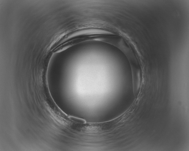 X0000078010154200611031439