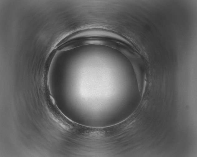 X0000078010156200611031439