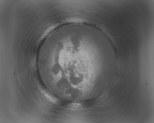 X0000078010159200611031439