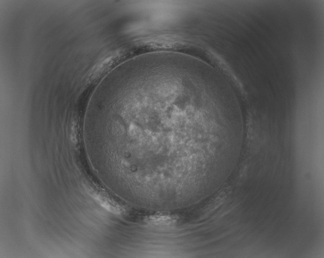 X0000078010161200611031439