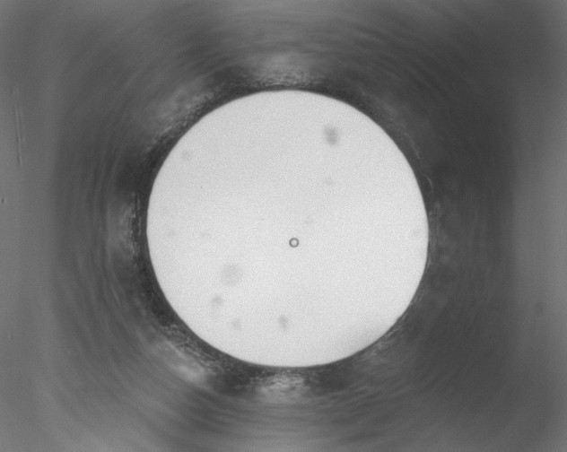 X0000078010162200611031439