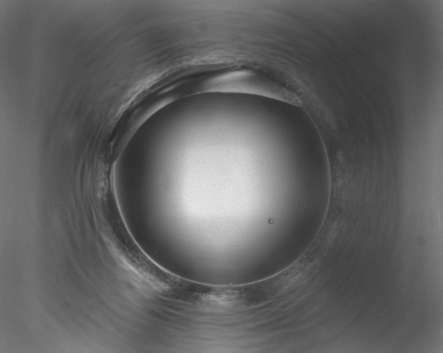 X0000078010164200611031439