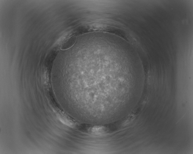 X0000078010173200611031439