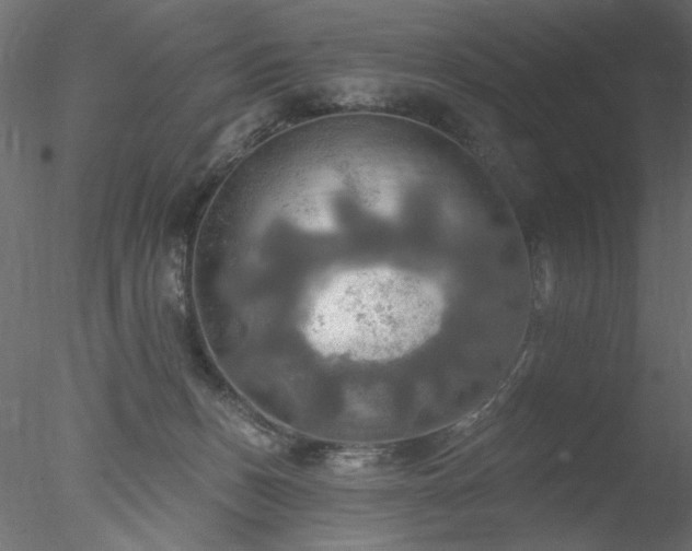 X0000078010175200611031439