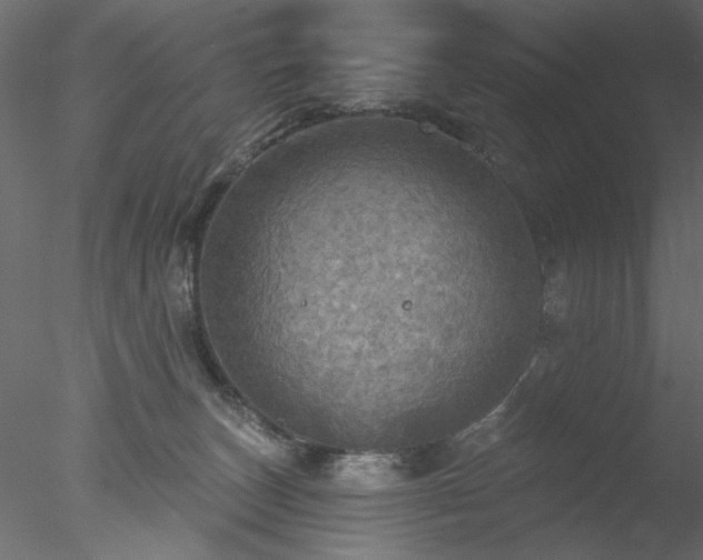 X0000078010179200611031439