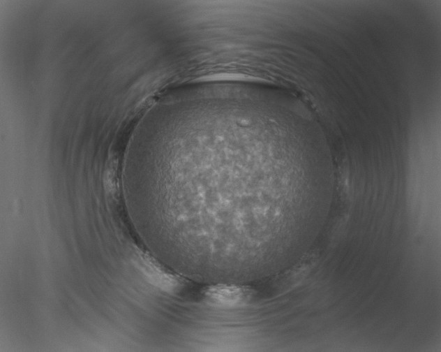 X0000078010181200611031440