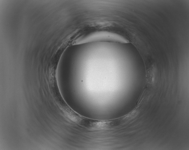 X0000078010184200611031440