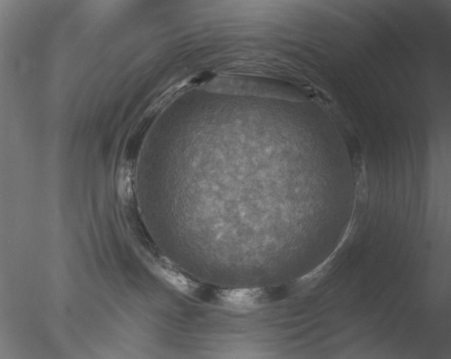 X0000078010191200611031440