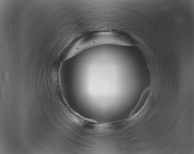 X0000078010192200611031440