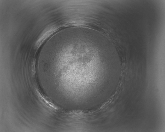 X0000078010194200611031439